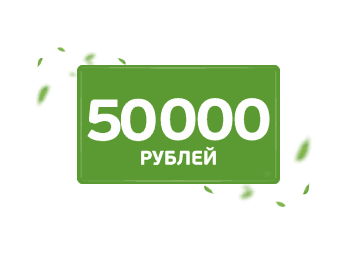 Денежный приз